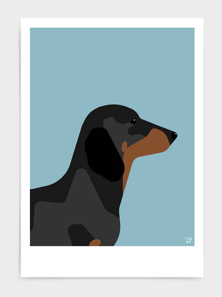 Dachshund for wholesale by Rocket Jack