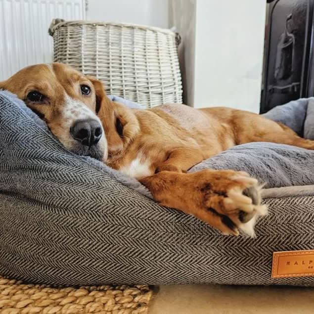 Ralph & Co - Wholesale Pet Bed - Dog - Luxury Grey Herringbone Dog Bed With Removable Covers | Balmoral6