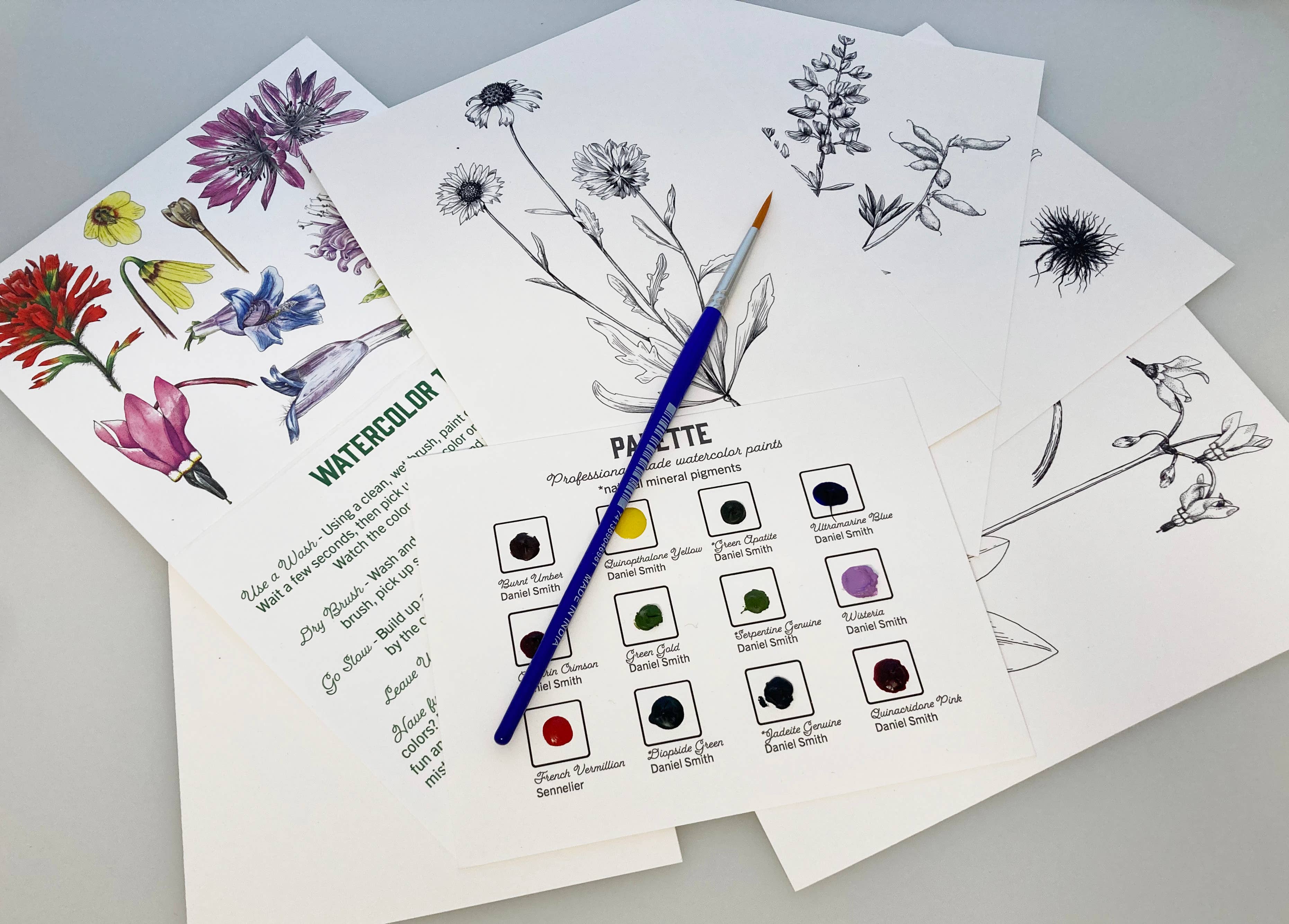 Madrona Press - Wholesale DIY Craft Kit - Watercolor Mini Print Kit - Wildflowers6