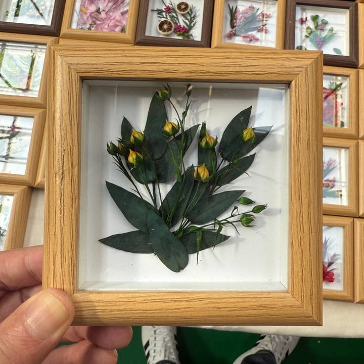 Preserved Dried Flower Mini Frame Decor15cm Handmade Art 009 for wholesale by Effiliving