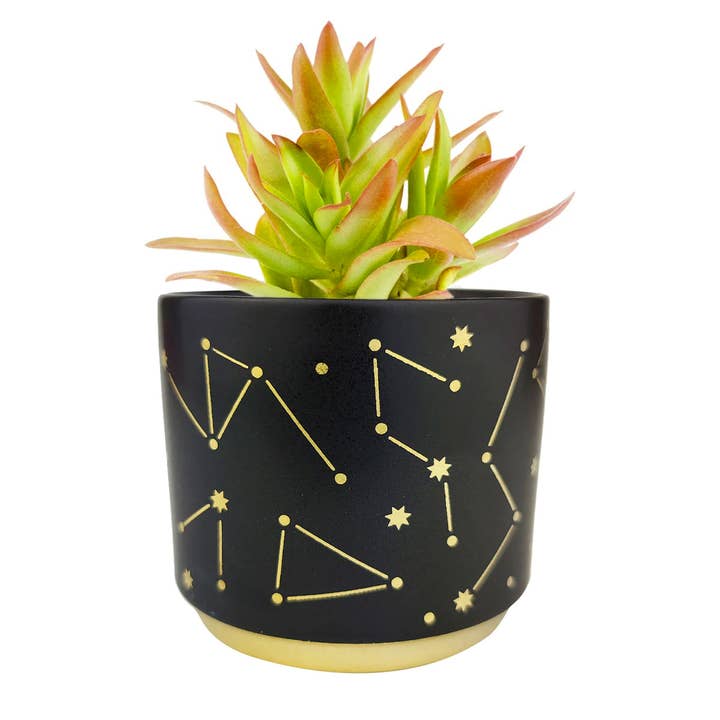 Best Plant Friend - Wholesale Plant Pot - 3" Celestial Pot - Succulent Planters For Small Spaces