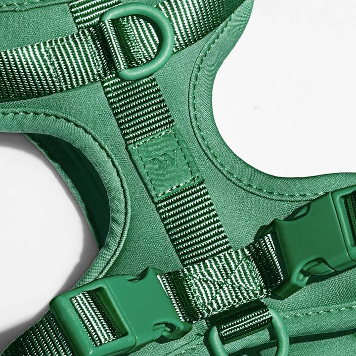 Wild One - Wholesale Pet Harness - Dog - Harness14