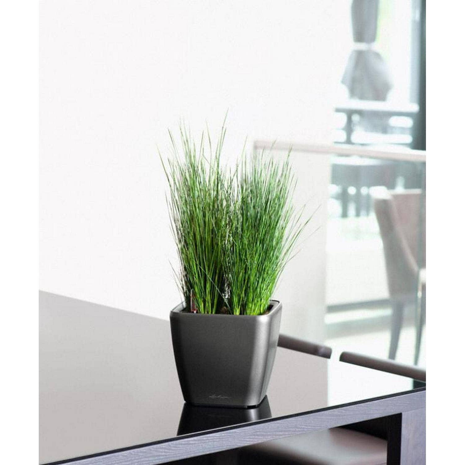 Lechuza Self Watering Planters - Vendita all'ingrosso Vasi per piante - Fioriera quadrata LECHUZA QUADRO LS Poly Resin9