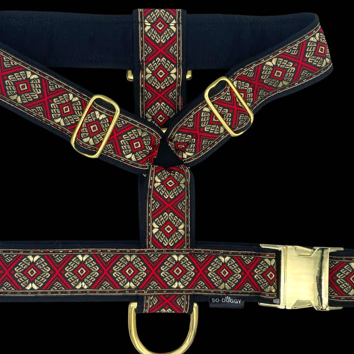 ARNÉS PARA PERROS | LEON para venta al por mayor de So-Doggy