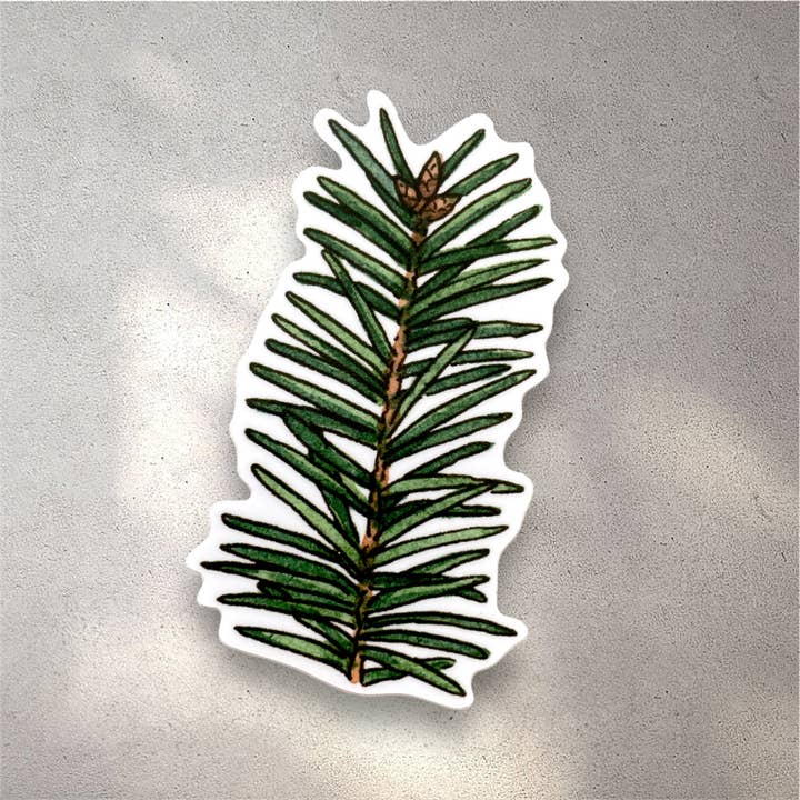 Adhesivo Doug Fir para venta al por mayor de Anagram Press