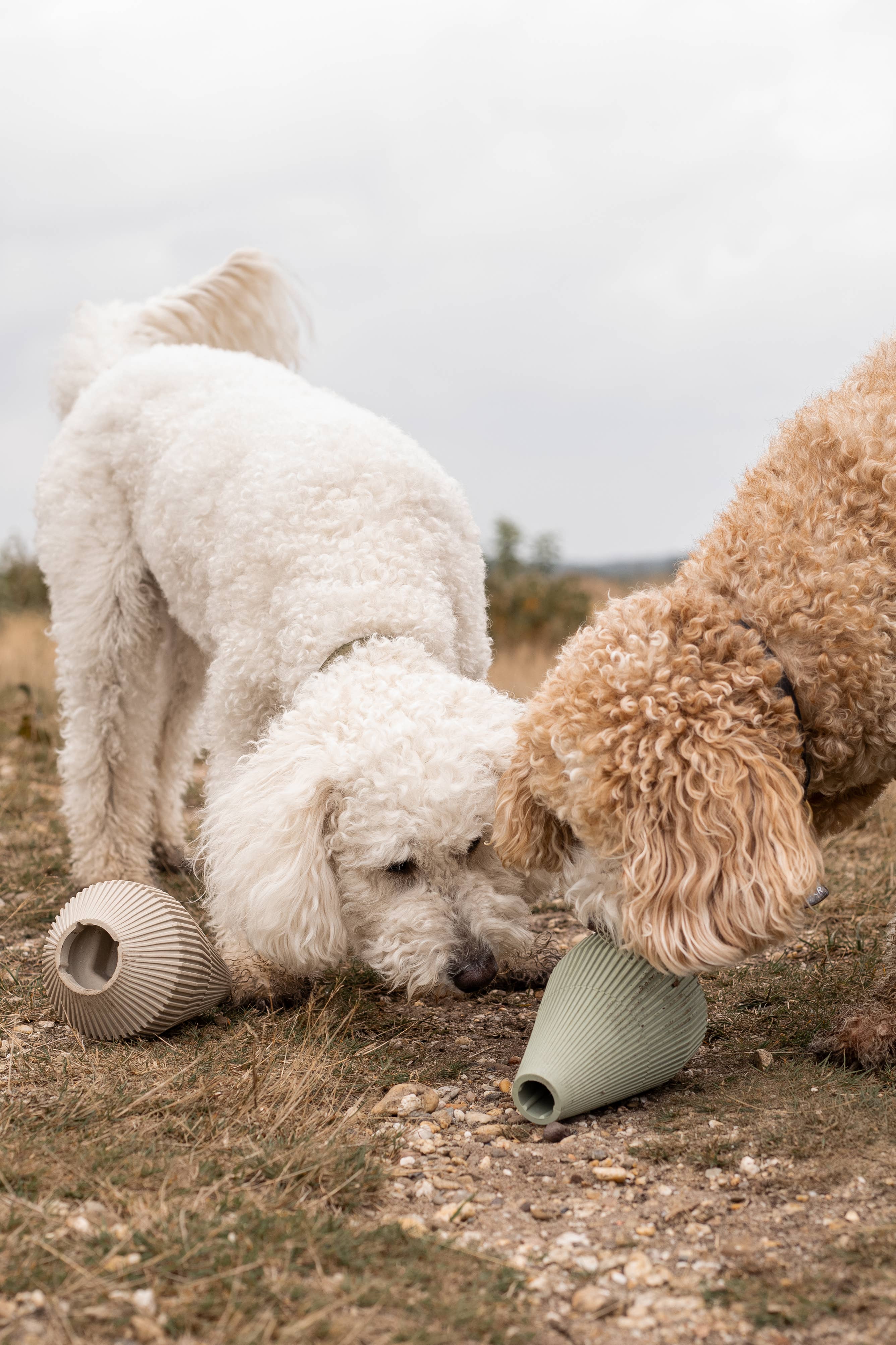 LIEVICK - Wholesale Pet Food Mat - Dog - YUME | enrichment product1