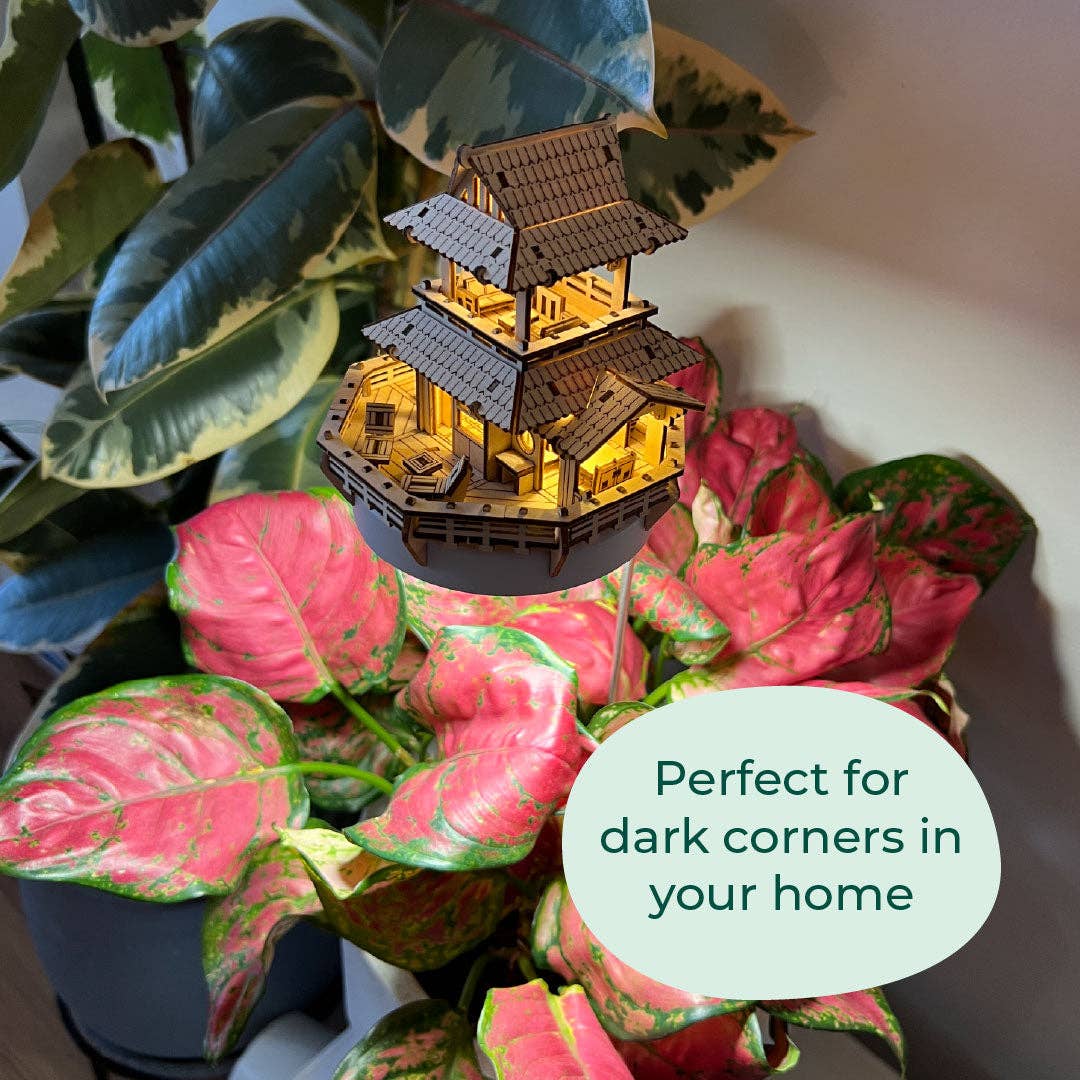 Tiny Treehouses - Wholesale DIY Craft Kit - Sunrise Terrace + Grow Light5