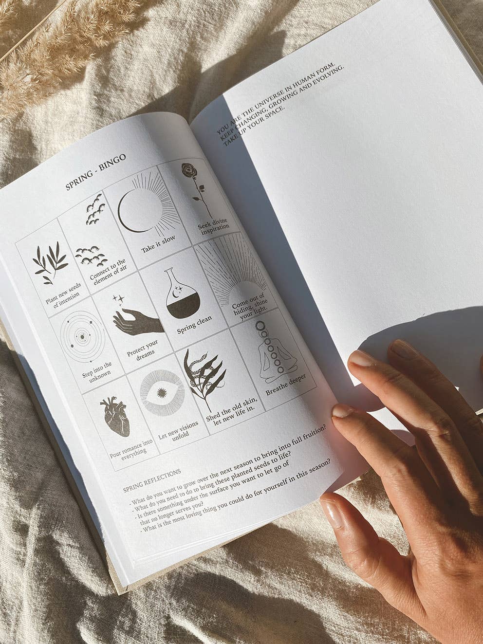 Anna Cosma - Wholesale Planner - STAY GOLD WILD SOUL - TIMELESS PLANNER CALENDAR - BEIGE 20268