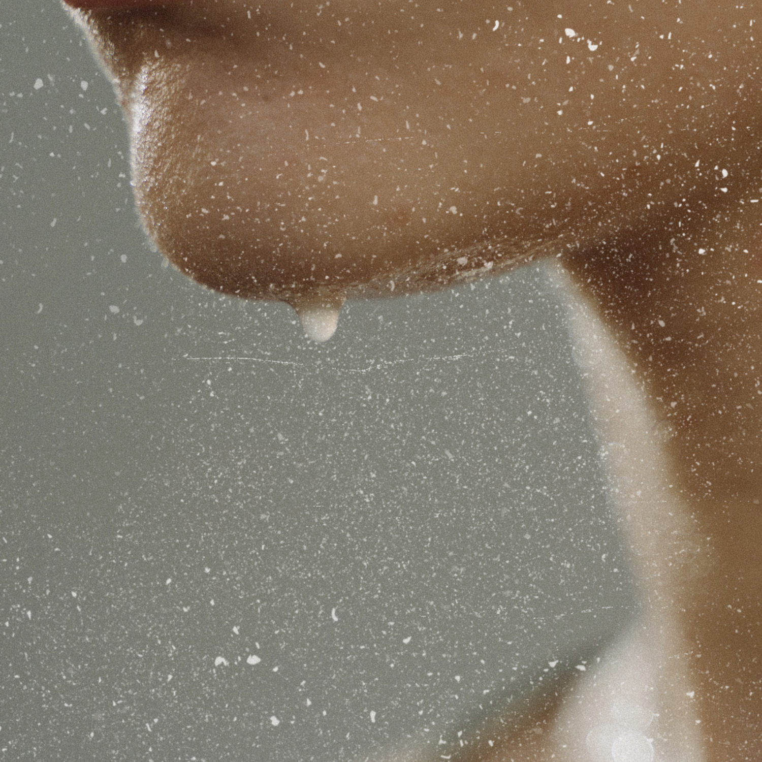 Bella & Bear Botanicals - Vente Lotion tonique - Défenseur du Désert : Tonique Défense Barrière | Soins de la Peau Botaniques4