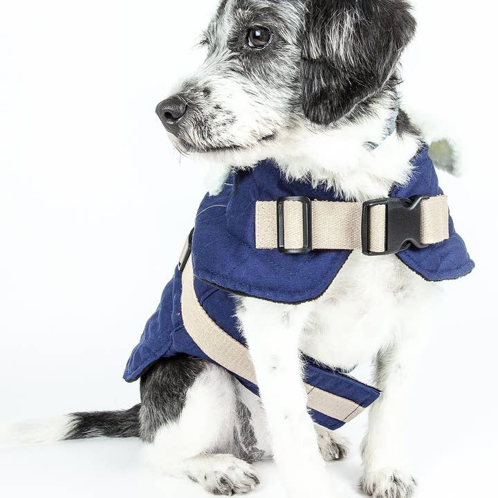 Pet Life – wholesale Ytterkläder - Hund – Touchdog Original Sherpa-Bark Designer Mode-Framåt hund1