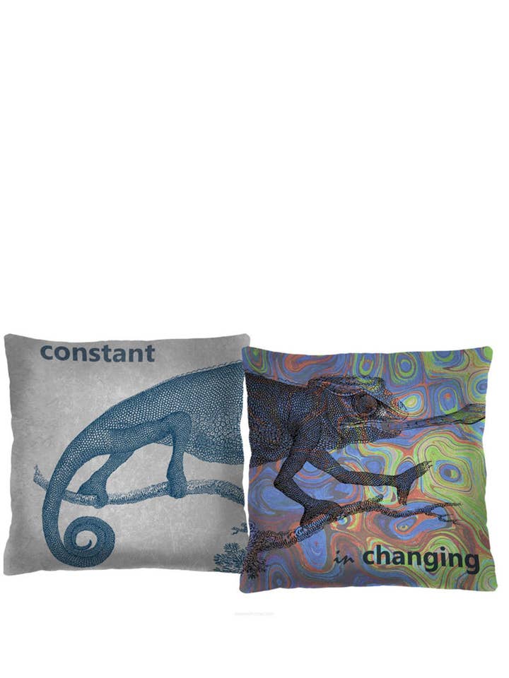 Kameleon Duo Lot de 2 coussins décoratifs Bertoni 40 x 40 cm pour la vente par IngrossoBertoni by INCI Srl