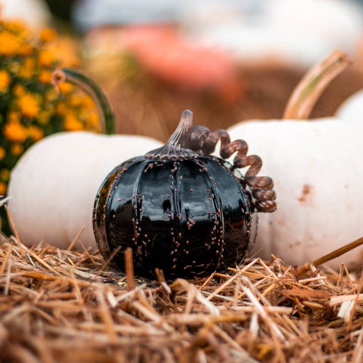Medium Blown Pumpkin for wholesale by Lake Superior Art Glass