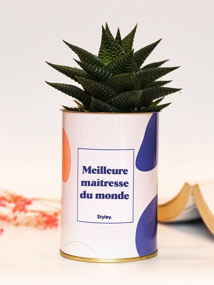 Meilleure Maîtresse Du Monde - Cactus for wholesale by Styley