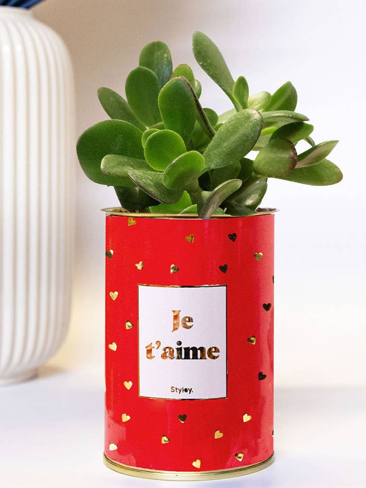 Jeg Elsker Dig Doré - Kaktus for engroshandel hos Styley