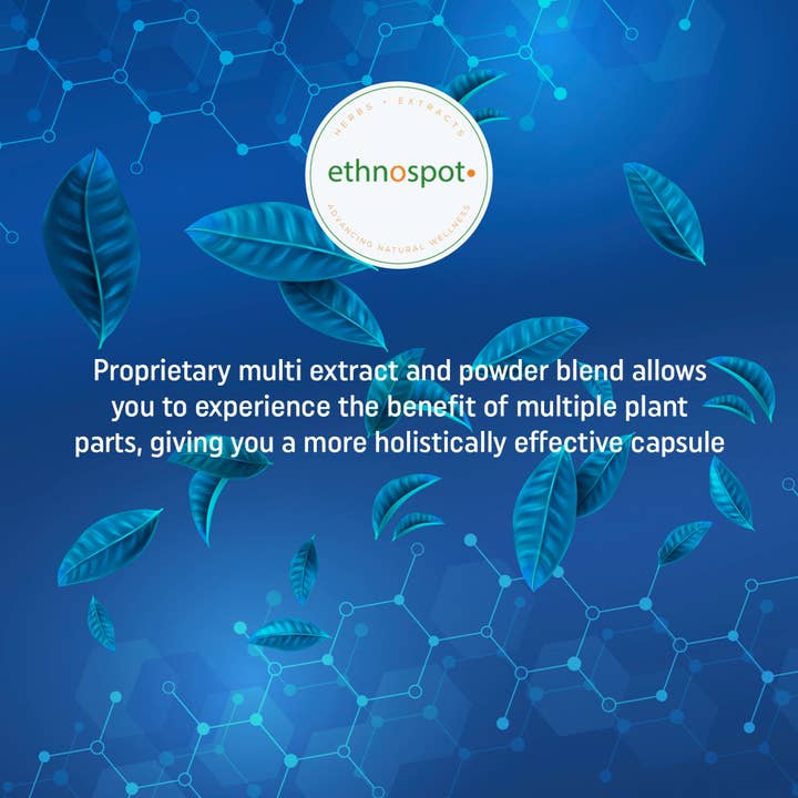 Ethnospot.com LLC – Großhandel Nahrungsergänzungsmittel/Vitamin zum Einnehmen – Baldrianwurzel-Kräuterergänzungskapseln - 125 Kapseln8