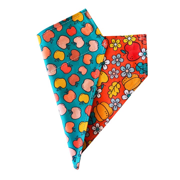 Charlie & the Hound - Wholesale Pet Bandana - Dog - Fall Apple & Pumpkin - Reversible Dog Collar Bandana1