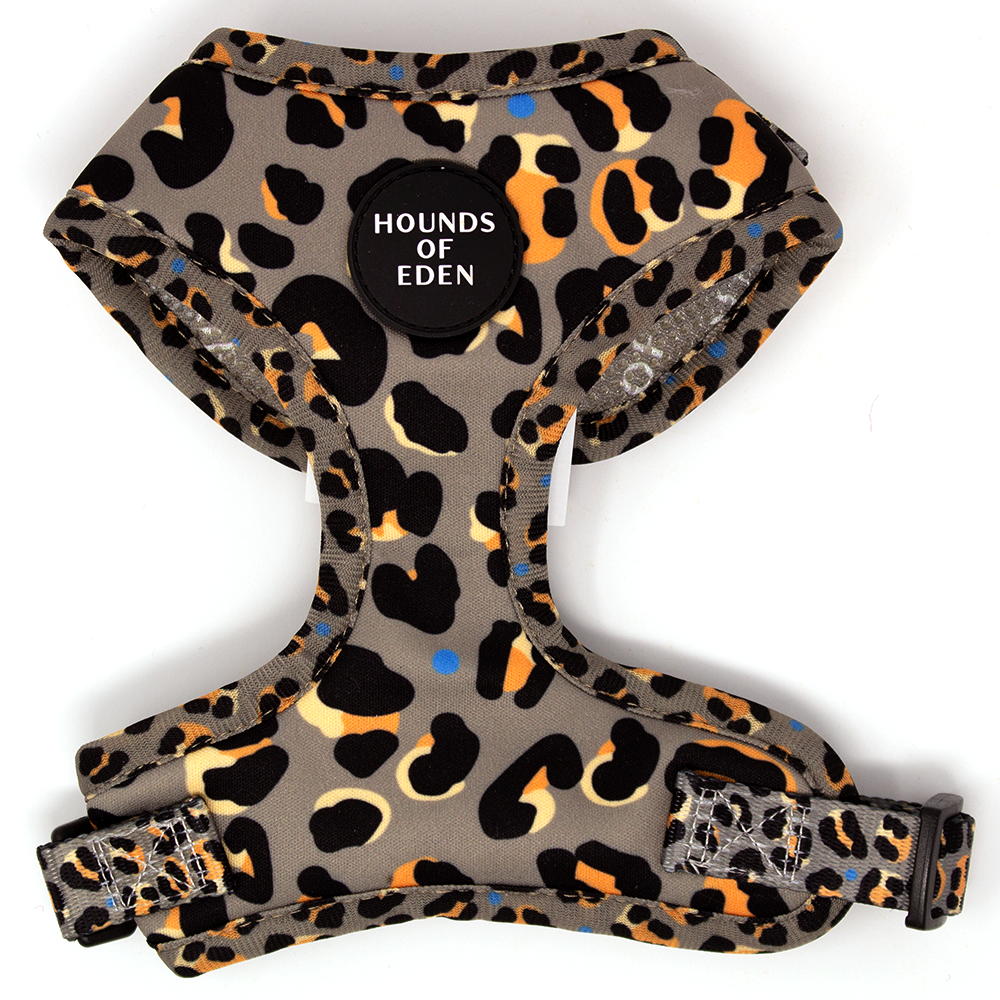 Hounds of Eden – Arnês – Cão por atacado – Steel Leopard - Arnês para cães cáqui/cinza0