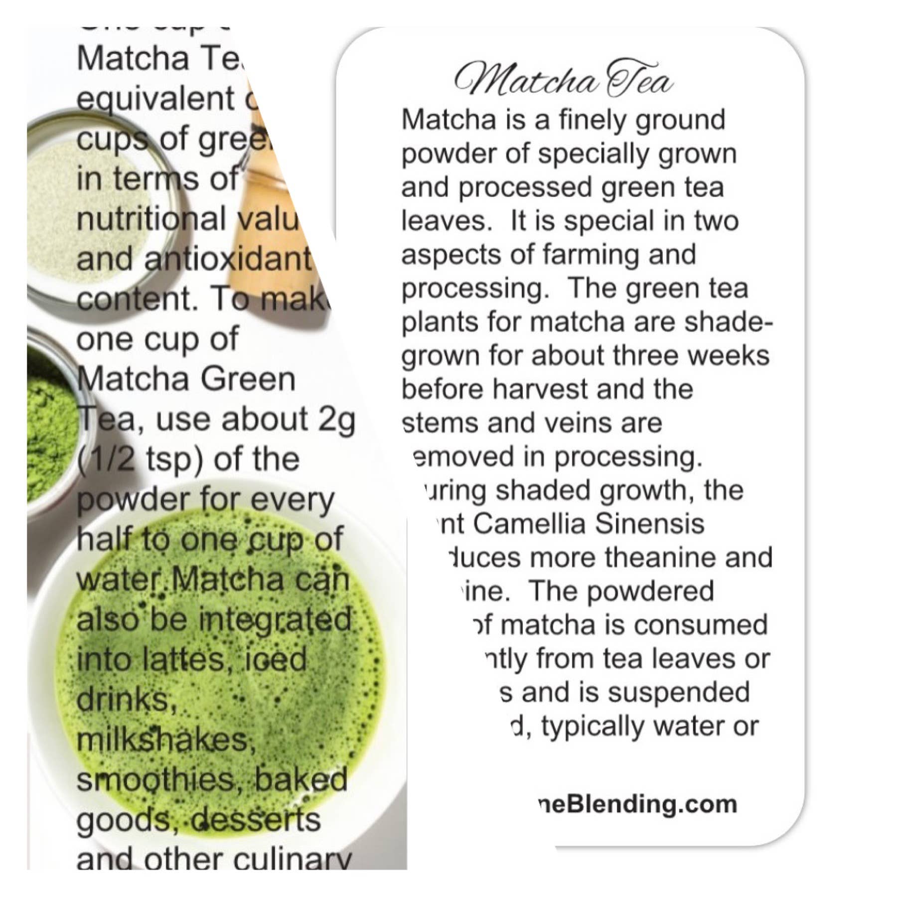 FlowerTeas - Venta al por mayor Bolsitas de té - Tarjetas informativas sobre cómo preparar té a granel o laminadas3