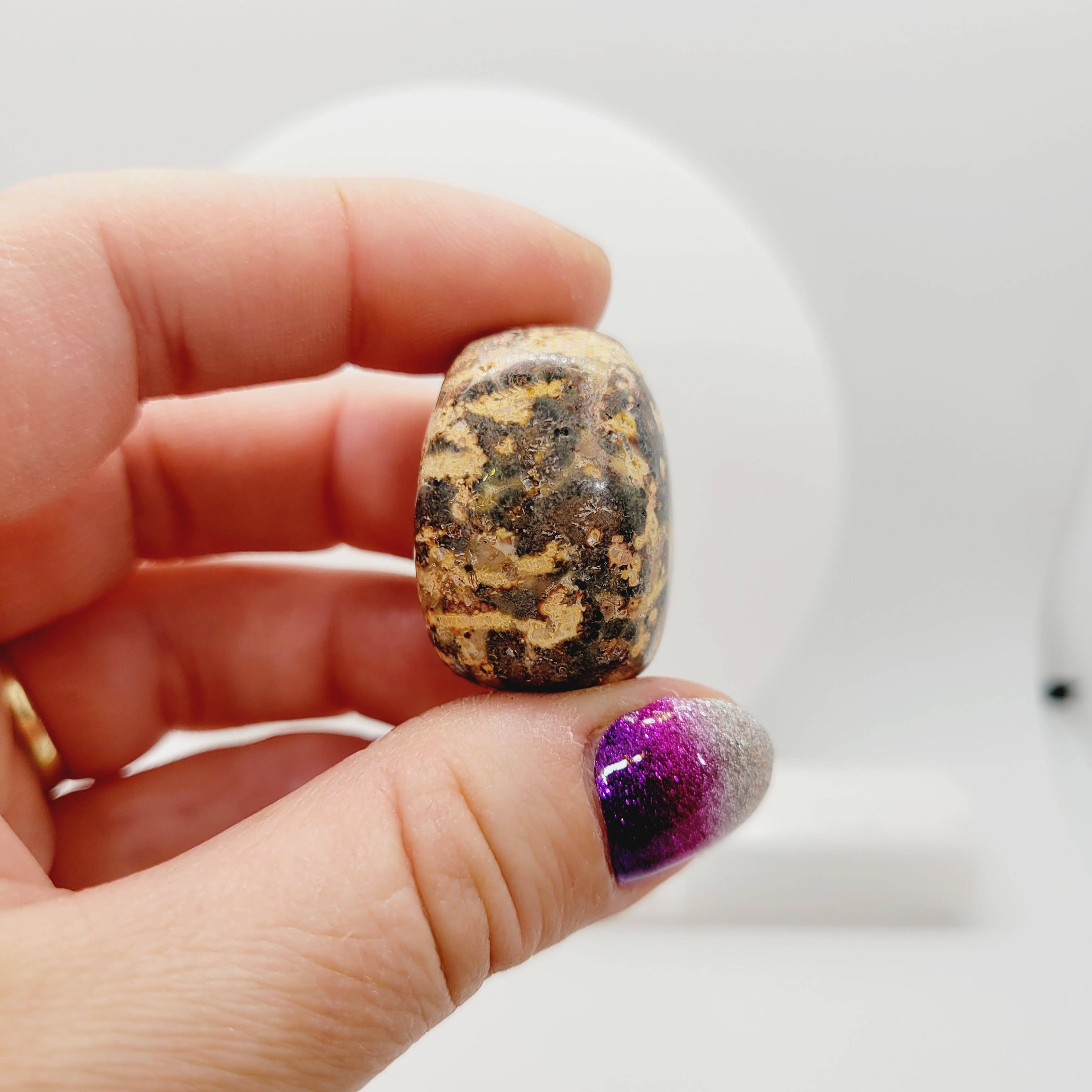 The Raven's Edge – Engroshandel Spirituelle sten og krystaller – Leopard hud Jasper Tumbles Crystal Tumbles Metafysisk3