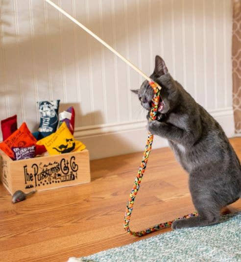 Dr. Pussums Catnip - Wholesale Pet Toy - Cat - Cat Teasers Cat Toys8