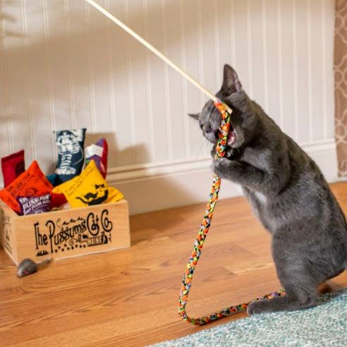 Dr. Pussums Catnip - Wholesale Pet Toy - Cat - Cat Teasers Cat Toys8