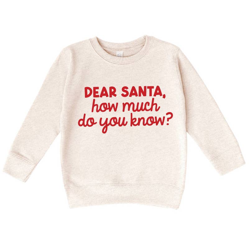 Bump & Beyond Designs - Wholesale Shirt - Kids - Funny Dear Santa Christmas Sweatshirt for Kids0