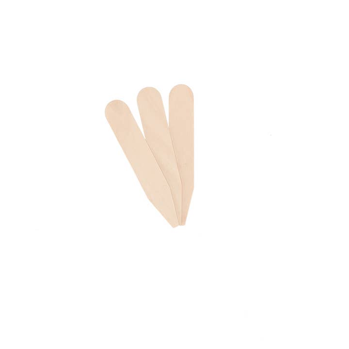 Esschert Design USA - Wholesale Garden Tool - Set of 40 Wooden Plant Labels - Small
