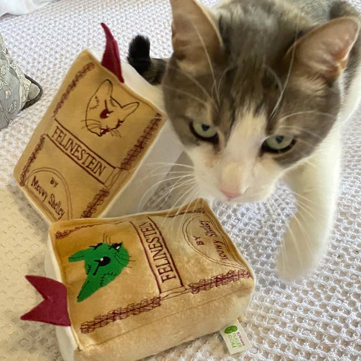 Handmade Cat Toy- Plush Book for Cats "Felinestein" for wholesale by Screaming Pickles