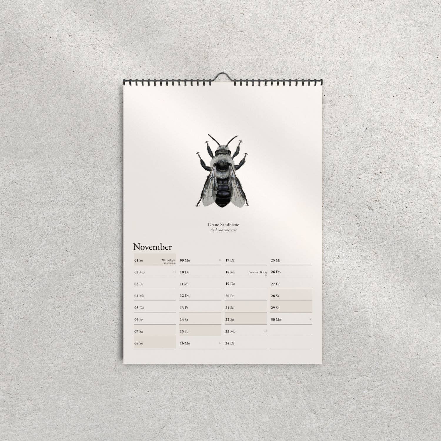 Terillu - Wholesale Calendar - Calendar 2026 – Wall Calendar Native Wild Bees7