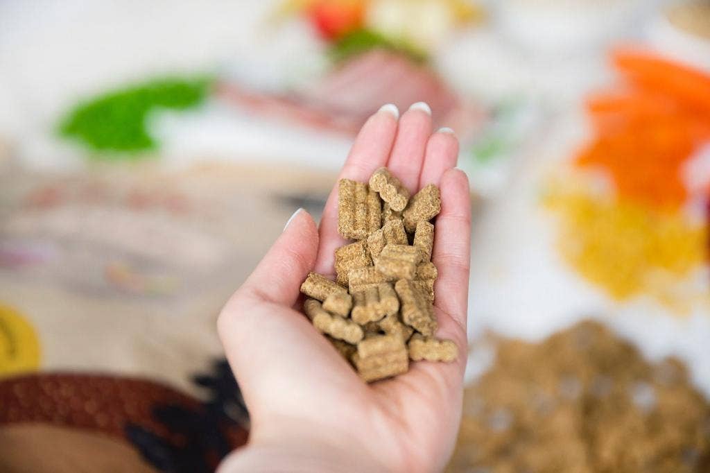 Kivo Petfood - Vendita all'ingrosso Cibo - Cani - Agnello & Riso - Senior/Light - Pressato a Freddo - Senza Glutine2