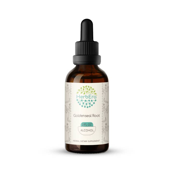 HerbEra - Wholesale Tincture - Goldenseal Root Tincture