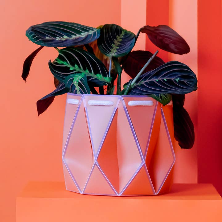 POTR - Wholesale Plant pot - 15cm Self-watering POTR | Coral Pot0