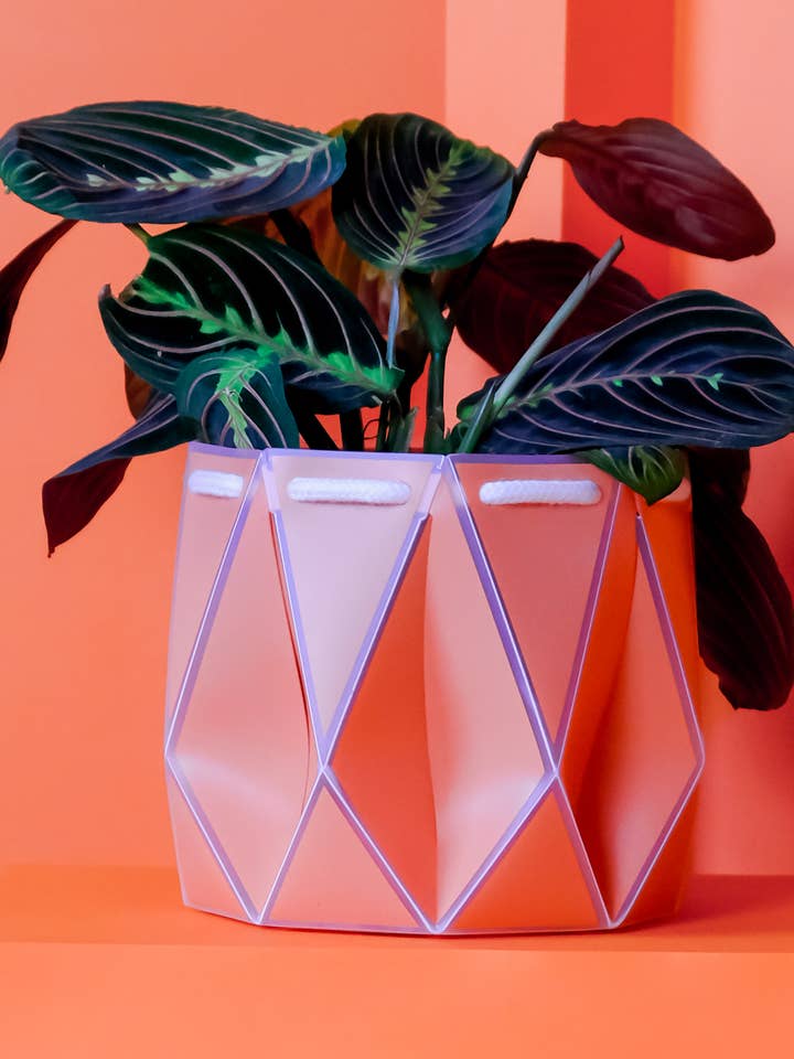 15cm Self-watering POTR | Coral Pot for wholesale by POTR