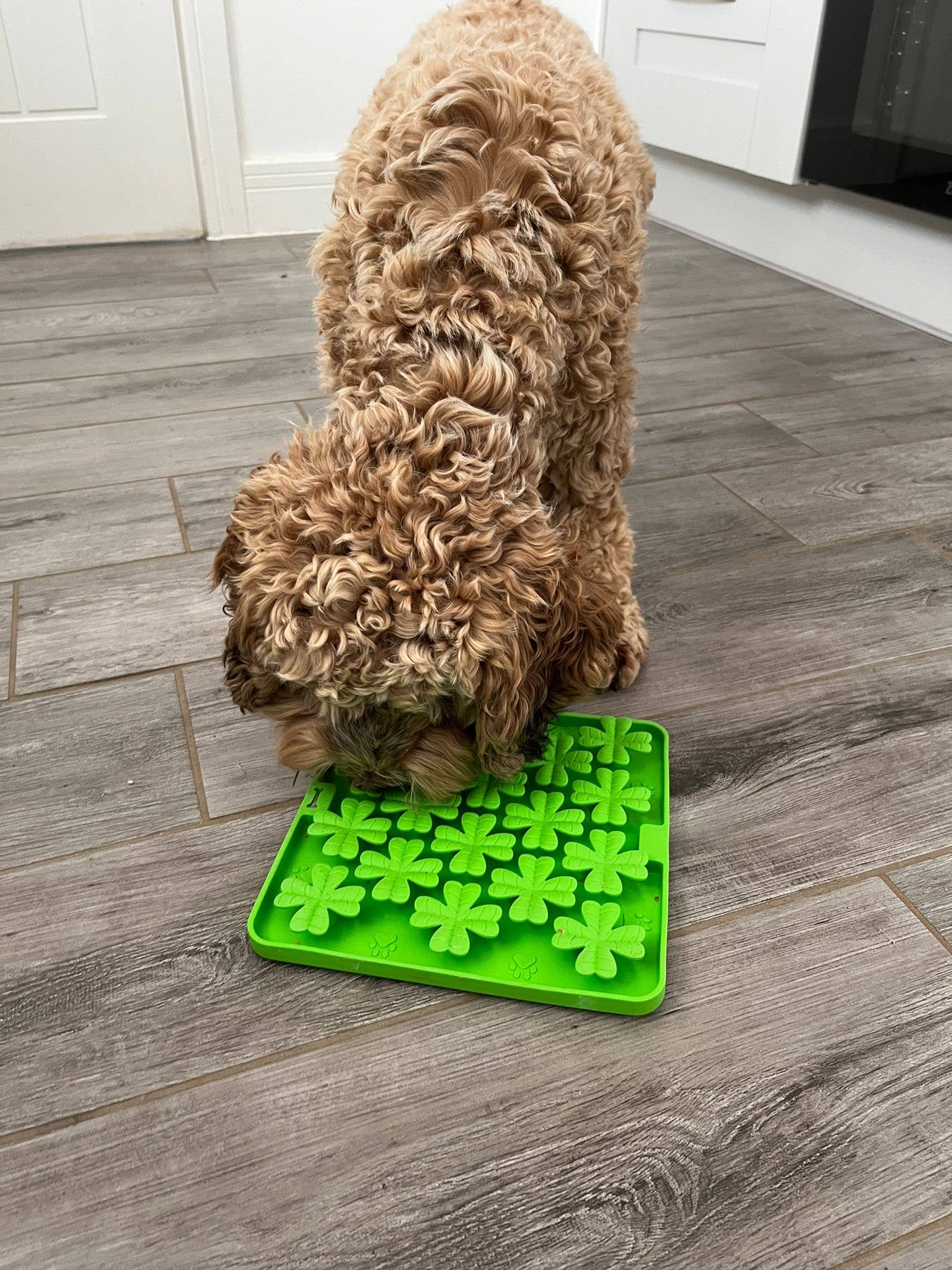 Parallax Plastics LTD - Wholesale Pet Bowl - Cat/Dog - Puzzle feeder Snuffle mat, lick mat & slow feeder for pets1