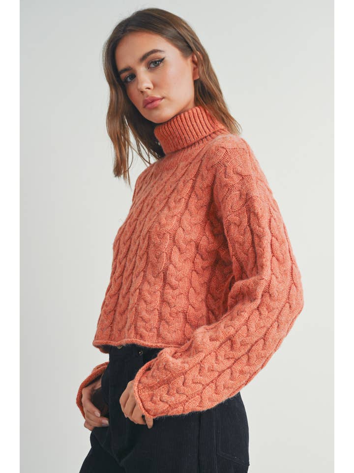 BUTTERMELON - Wholesale Knitted jumper – Women′s - Thick Braid With Turtle Neck Long-Sleeve Sweater - BMW716816