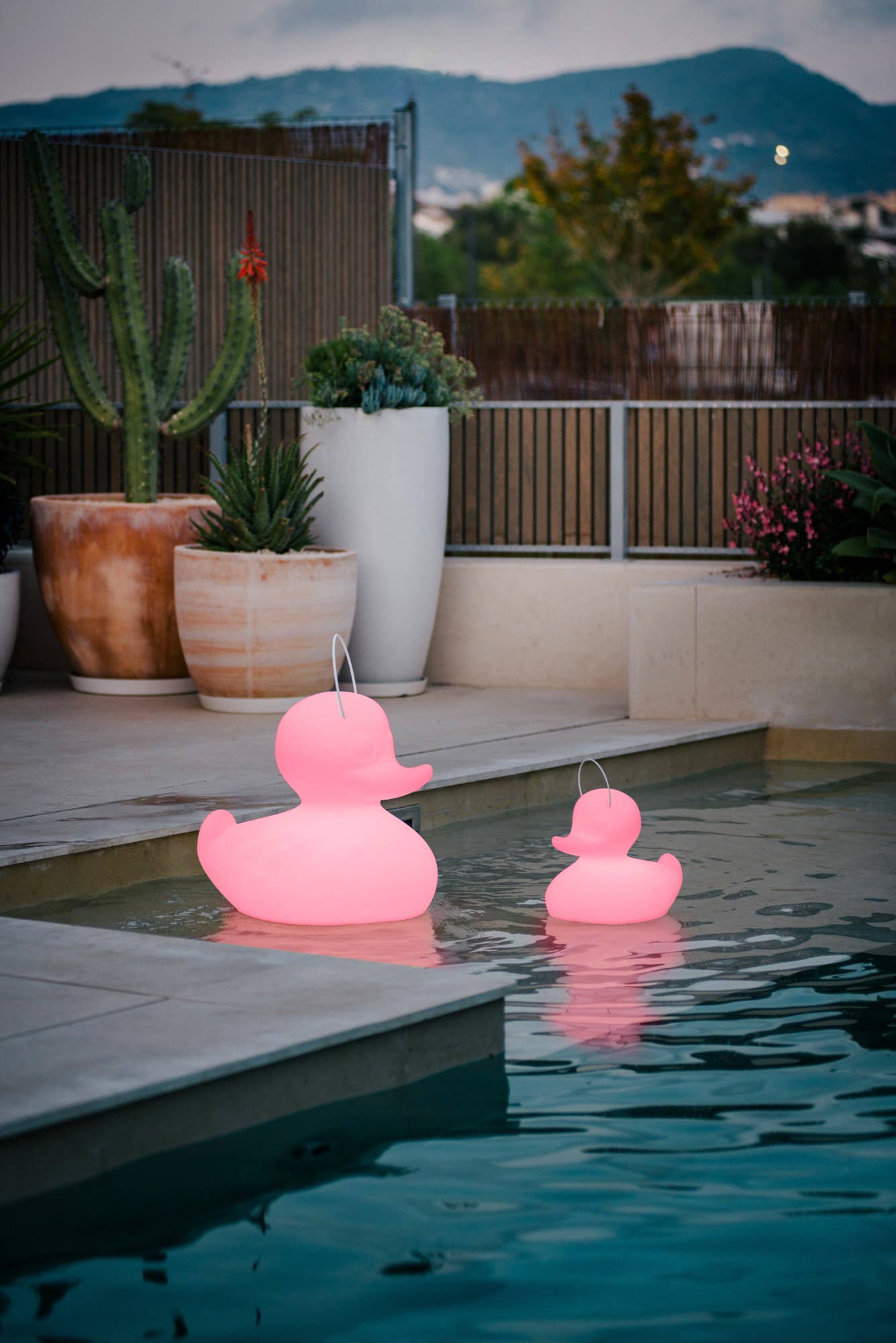 Goodnight Light - Wholesale Accent/Desk Lamp - The Duck-Duck Lamp Small 31cm - floating rechargeable lamp2
