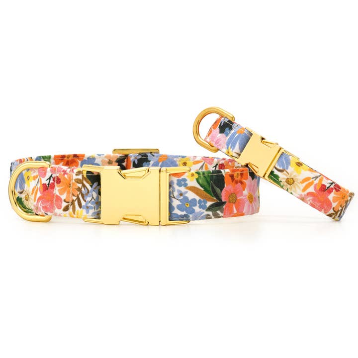 The Foggy Dog - Wholesale Pet Collar - Dog - Rifle Paper Co. x TFD Marguerite Dog Collar