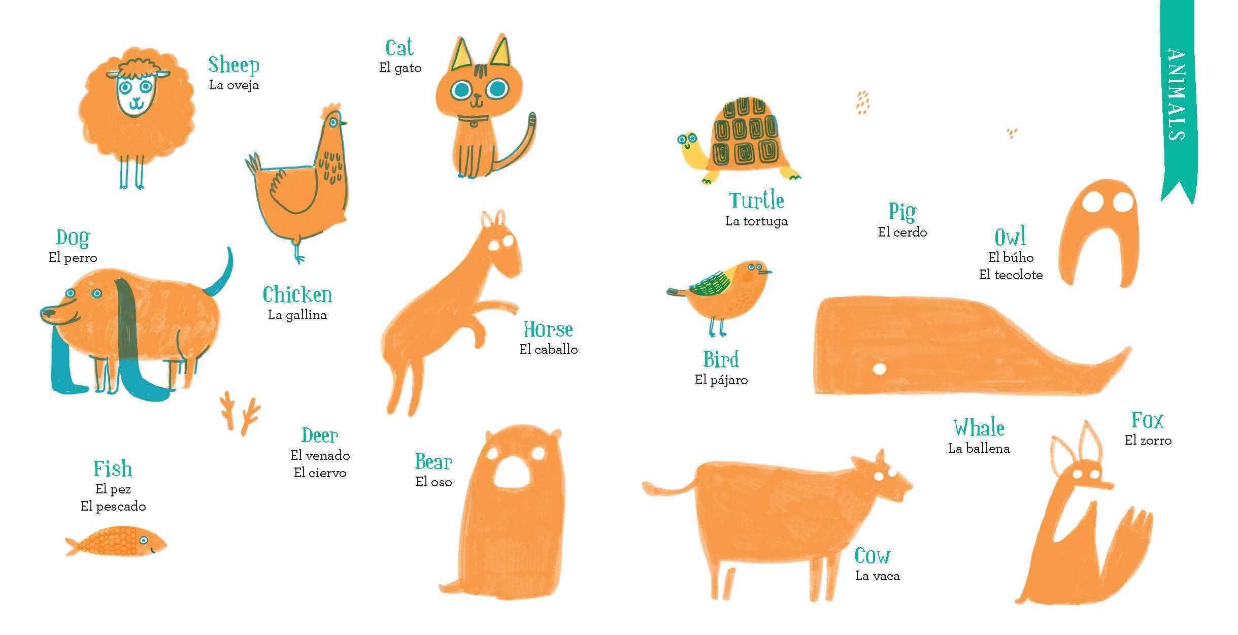 Chronicle Books - Wholesale Language & Linguistics - Let's Learn Spanish8