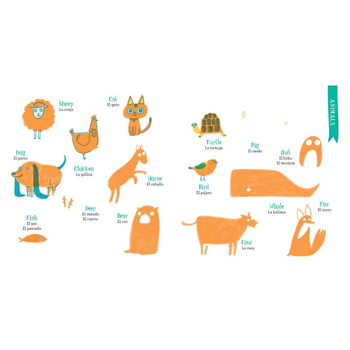 Chronicle Books - Wholesale Language & Linguistics - Let's Learn Spanish8