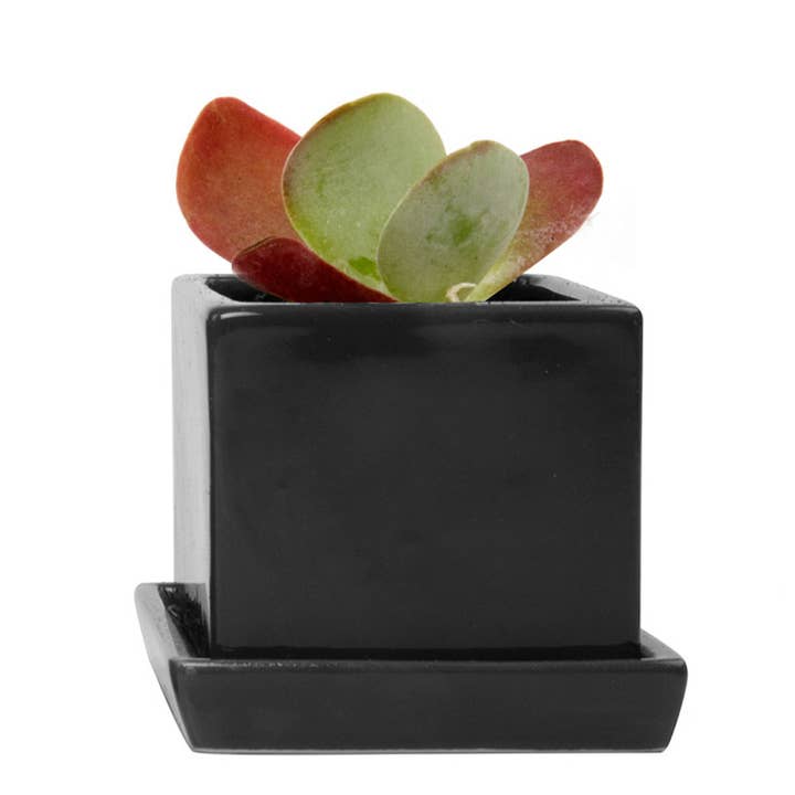 Chive - Wholesale Plant Pot - Cube & Saucer Indoor Plant Pot With Drainage