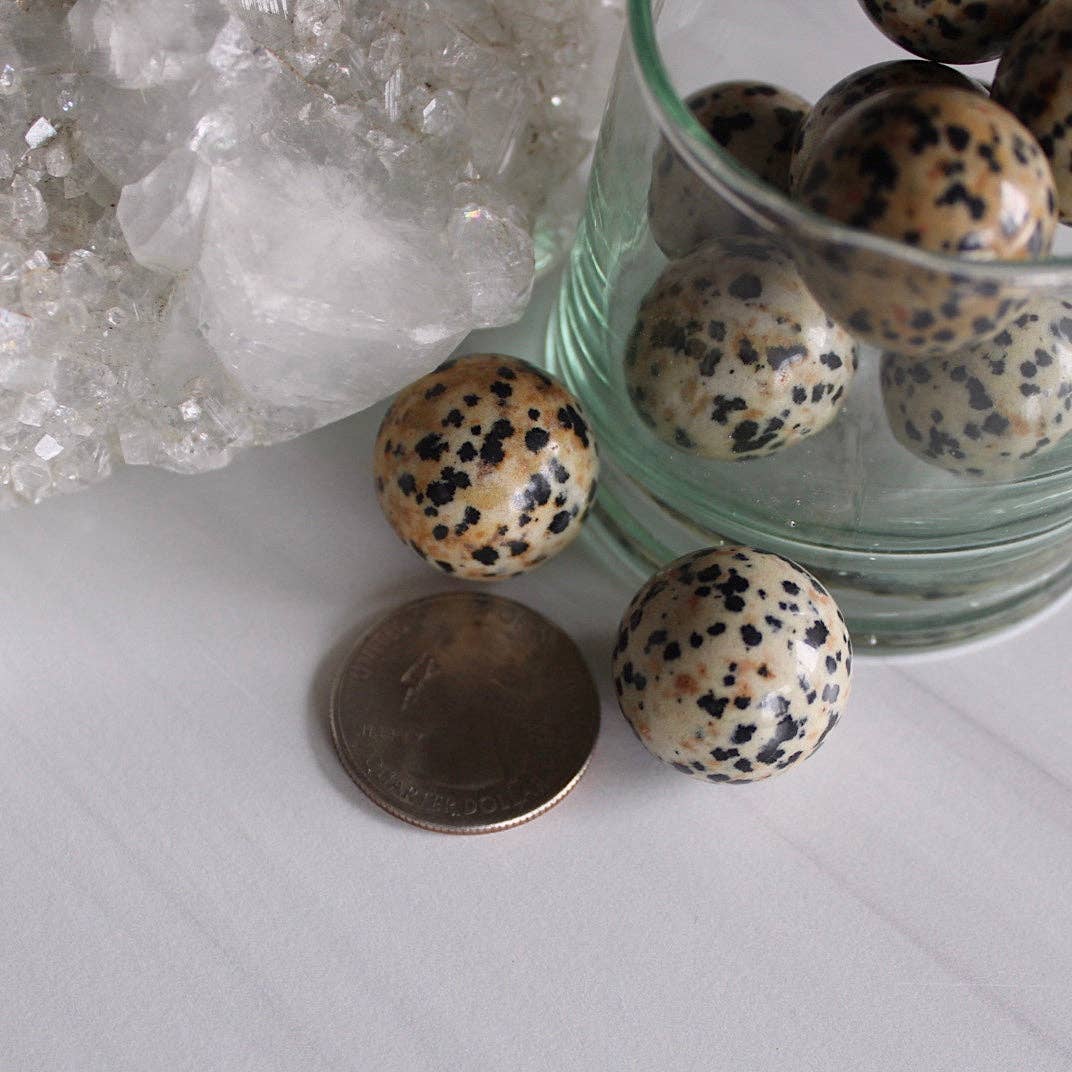Pebble House - Wholesale Spiritual Stone/Crystal - Dalmatian Jasper 20mm Sphere (Crystals & Stones)3