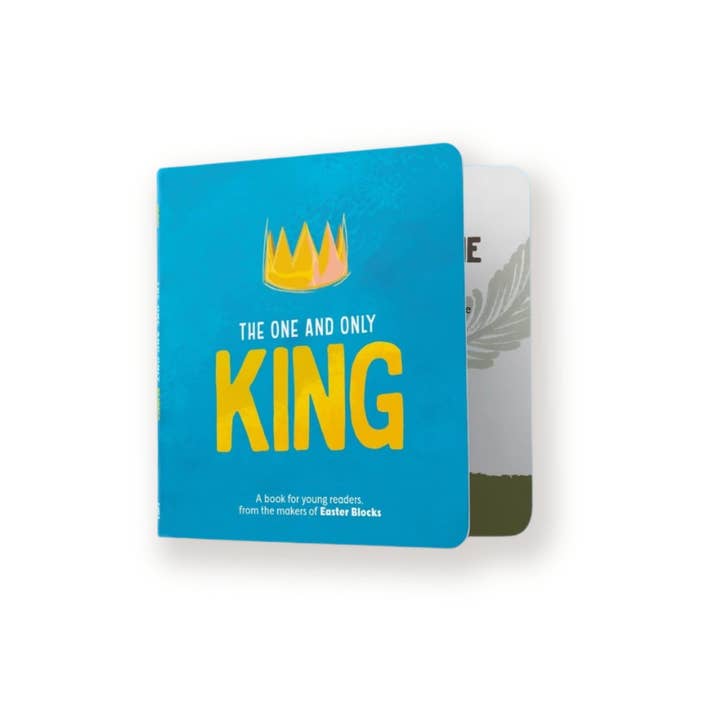 Board Book - The One and Only King for wholesale by GoodKind