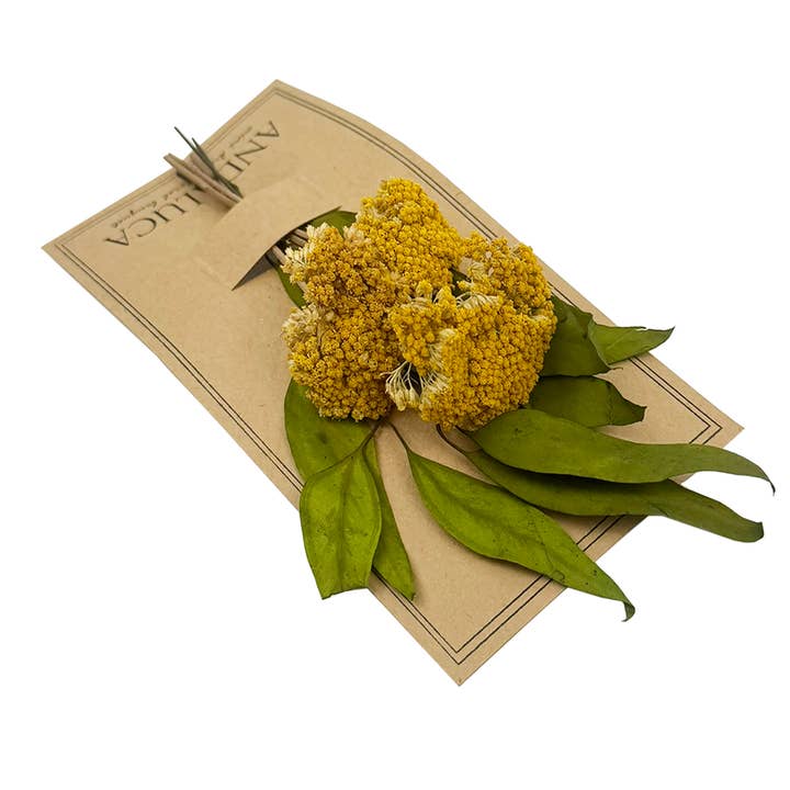Andaluca - Wholesale Dried/Pressed Flowers - Willow & Yarrow Mini Bouquet #140
