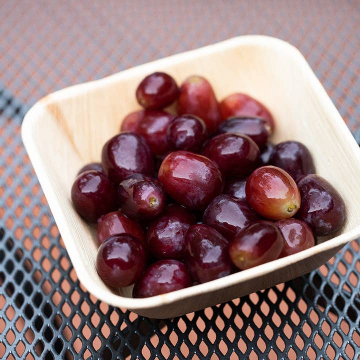6" Palm Leaf Bowl - Salad Bowl for wholesale by The Reeden Company