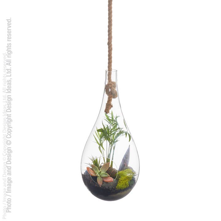 Boboli™ hanging terrarium (7 dia. x 15 in.) for wholesale by texxture & Design Ideas