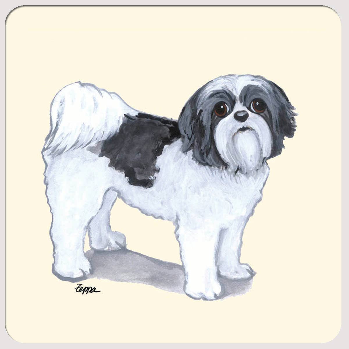 Zeppa Studios - Wholesale Coasters - Shih Tzu Puppy Cut Beverage Coasters0