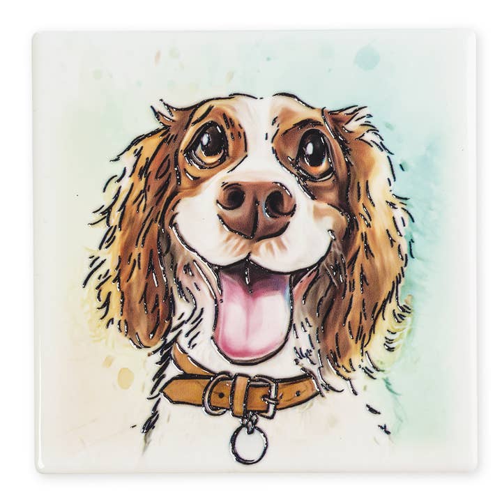Springer Spaniel Square Ceramic Magnet 7.5 x 7.5cm for wholesale by Art of Arora
