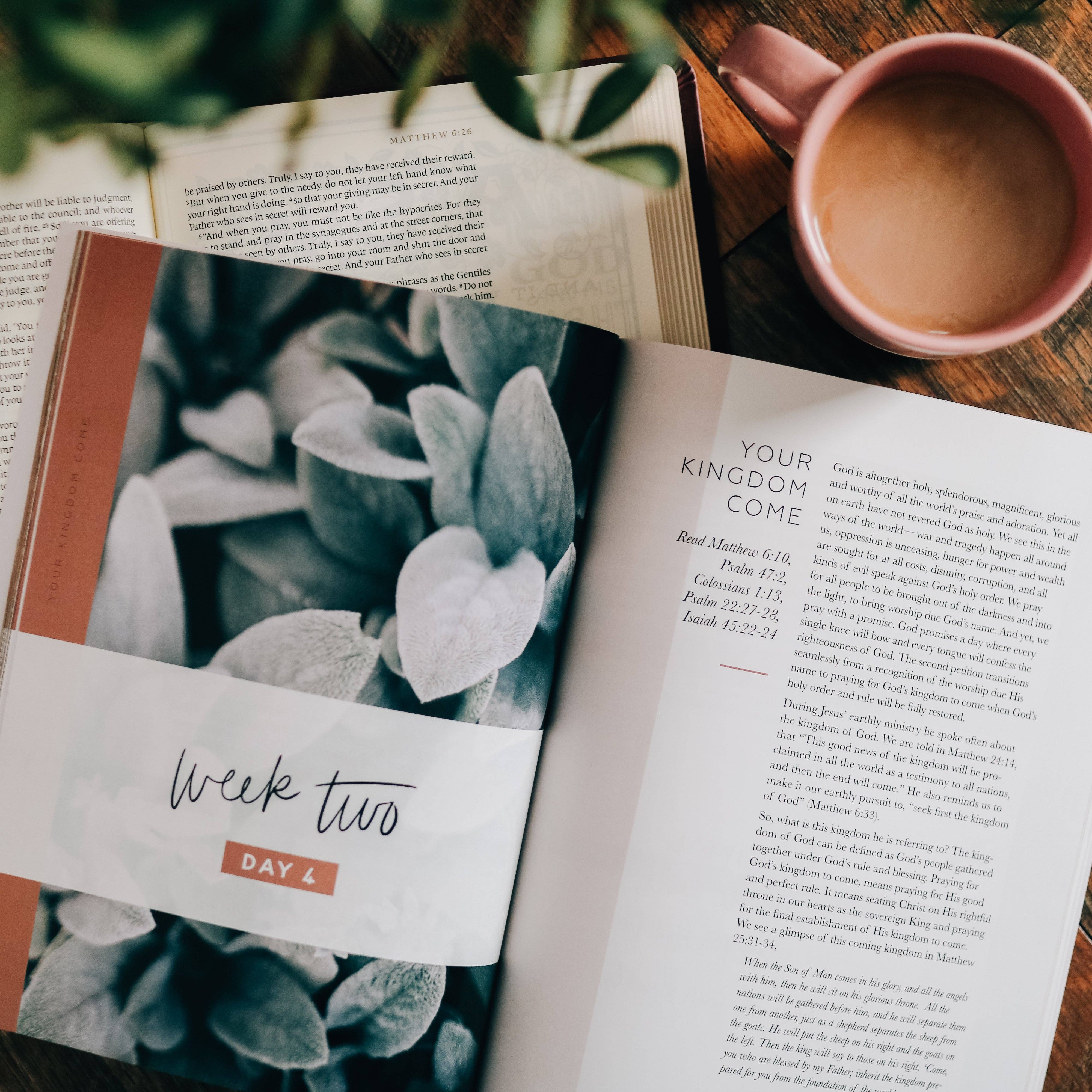 The Daily Grace Co - Wholesale Religion Book - The Lord's Prayer | Study3