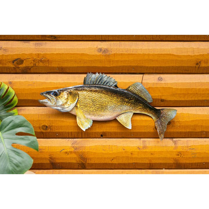 Reelistic Replicas - Wholesale Wall Accent - Walleye Replica Mount - 29 Inch Walleye Replica