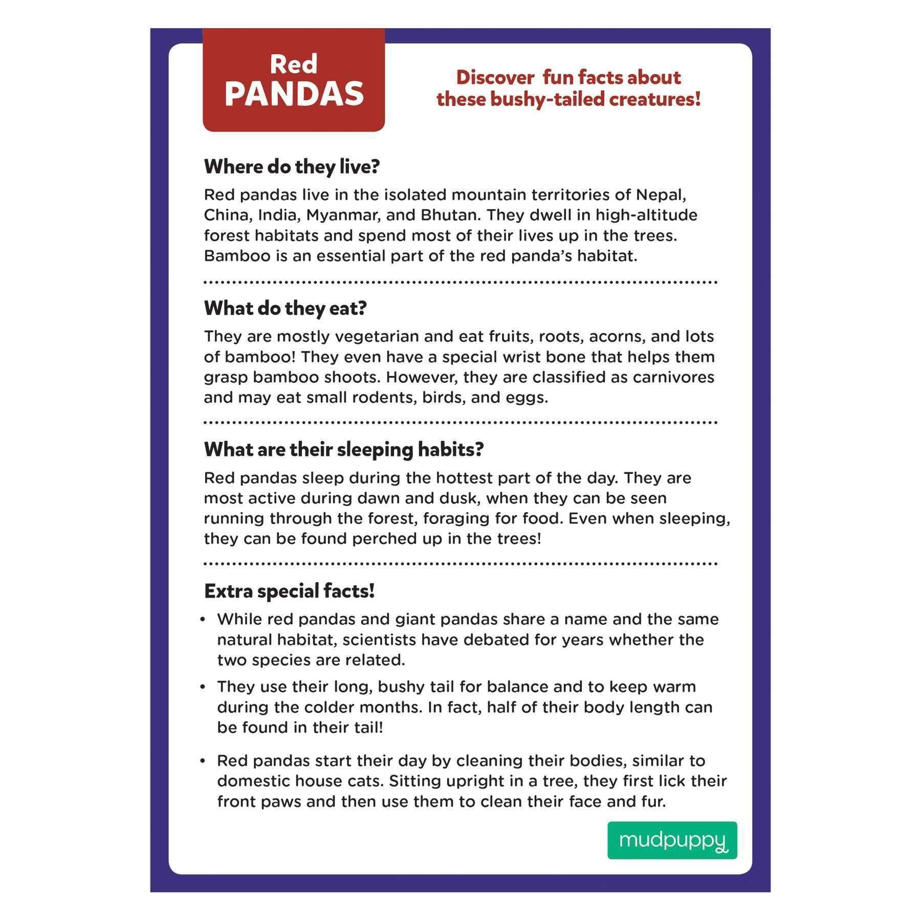 Chronicle Books - Wholesale Puzzle - Kids - Red Panda 48 Piece Mini Puzzle2